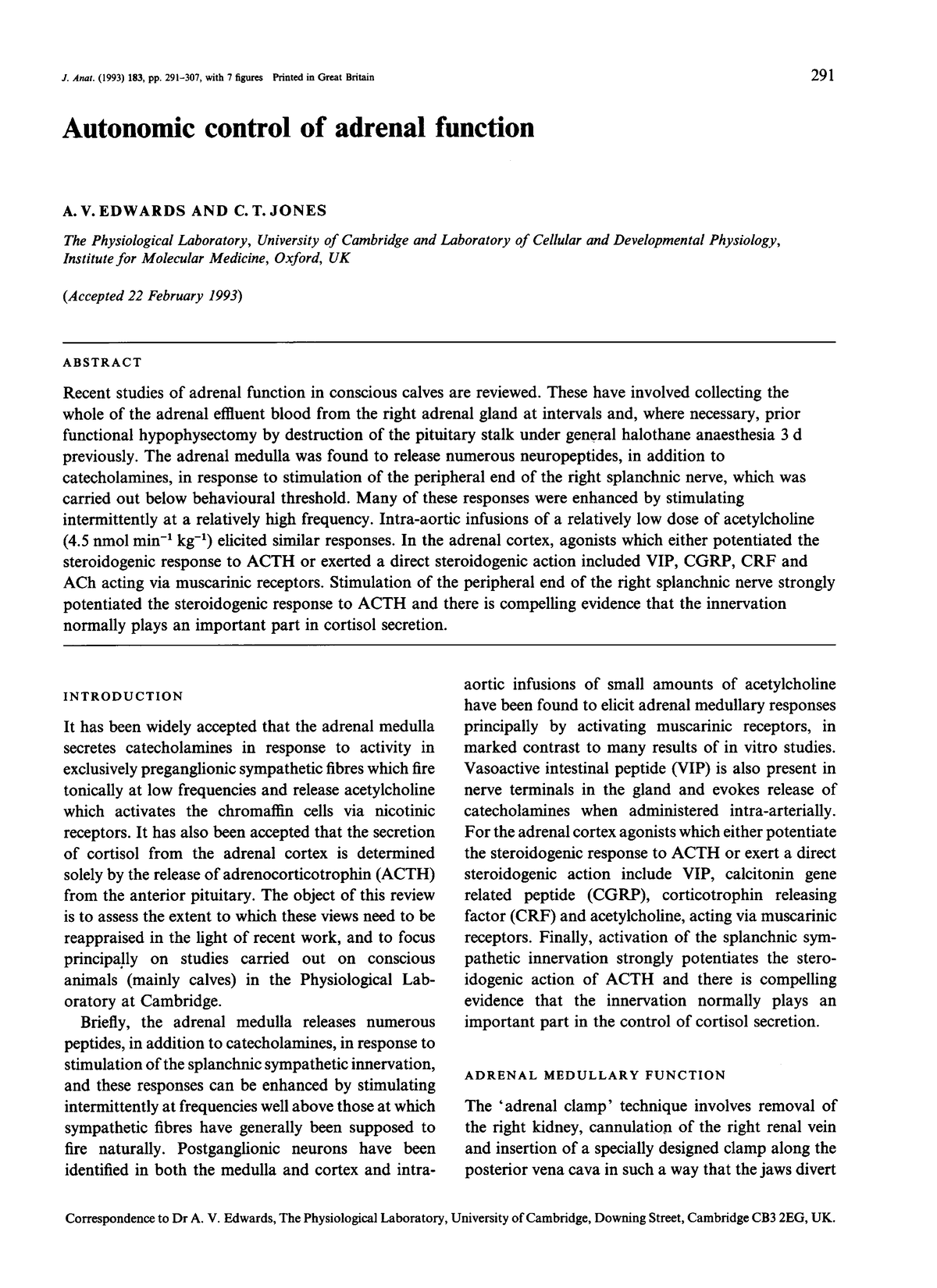 Adrenal Cortex - Pdf - J. Anat. (1993) 183, Pp. 291-307, With 7 Figures ...