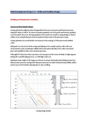 Field Development Project 13 – HSE management - Field Development ...