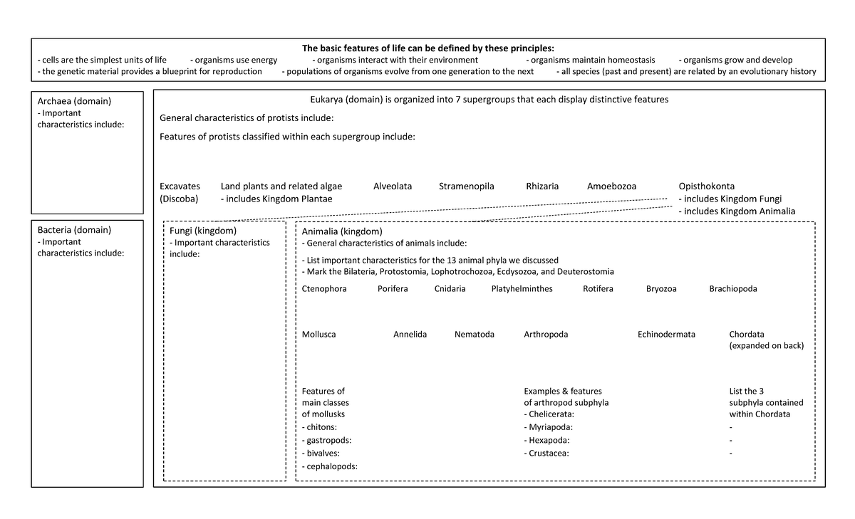 BIOL191 Exam1 Biodiversity Review - The basic features of life can be ...
