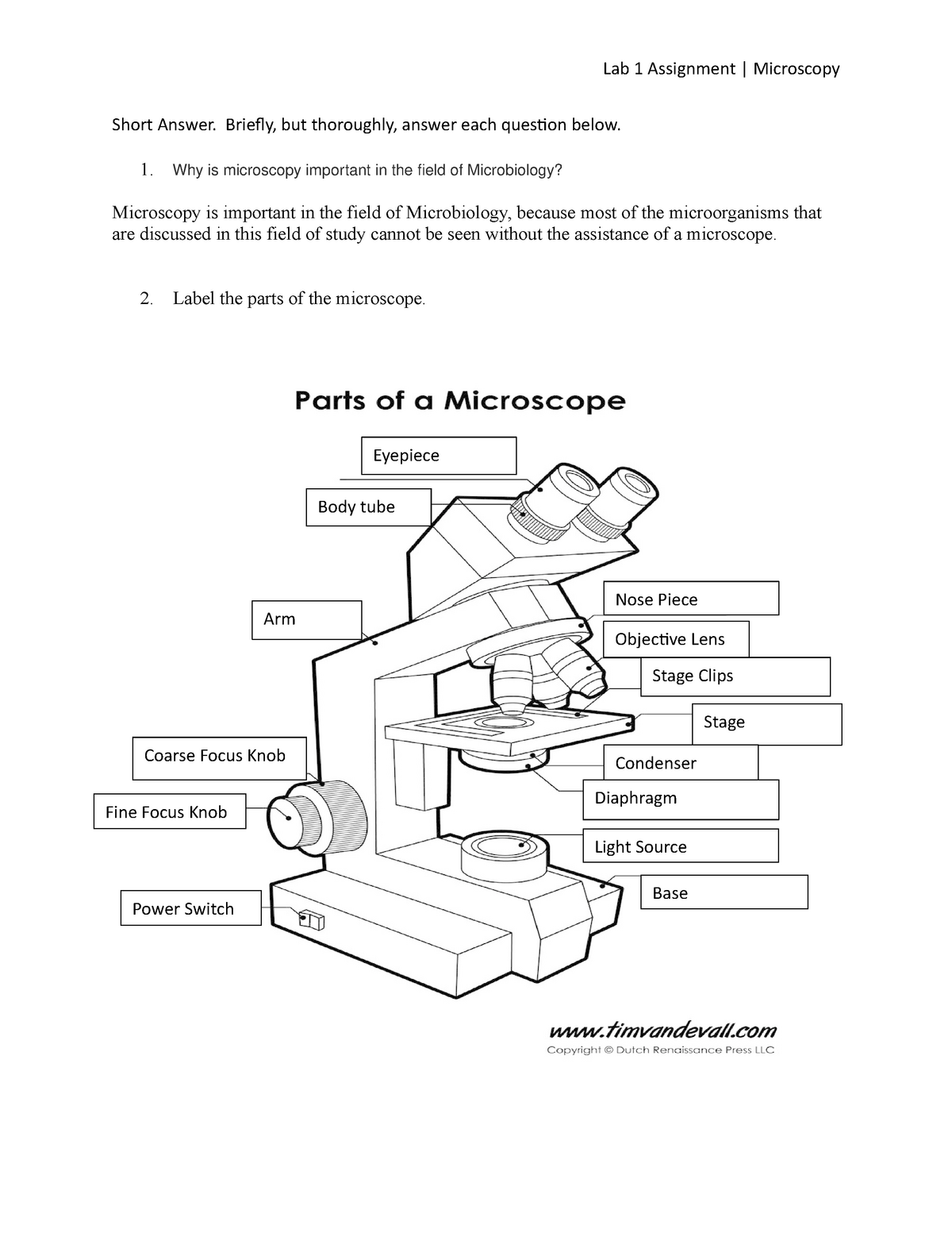 Pre-Lab #1-Microscopy - Lab 1 Assignment | Microscopy Short Answer ...