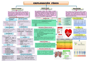 MAPA mental Exploración Física(habitus exterior), Somatometría y signos  vitales - Studocu