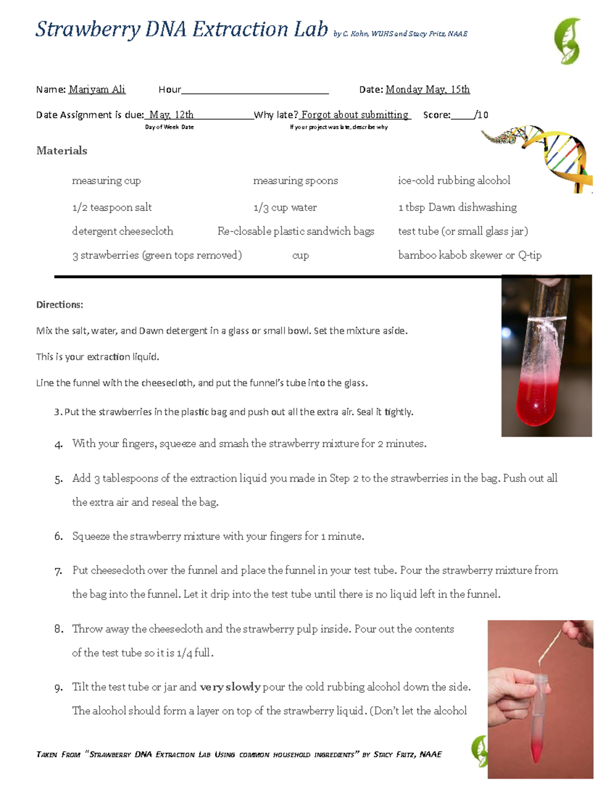 Strawberry DNA Extraction Lab Directions Mix the salt, water, and