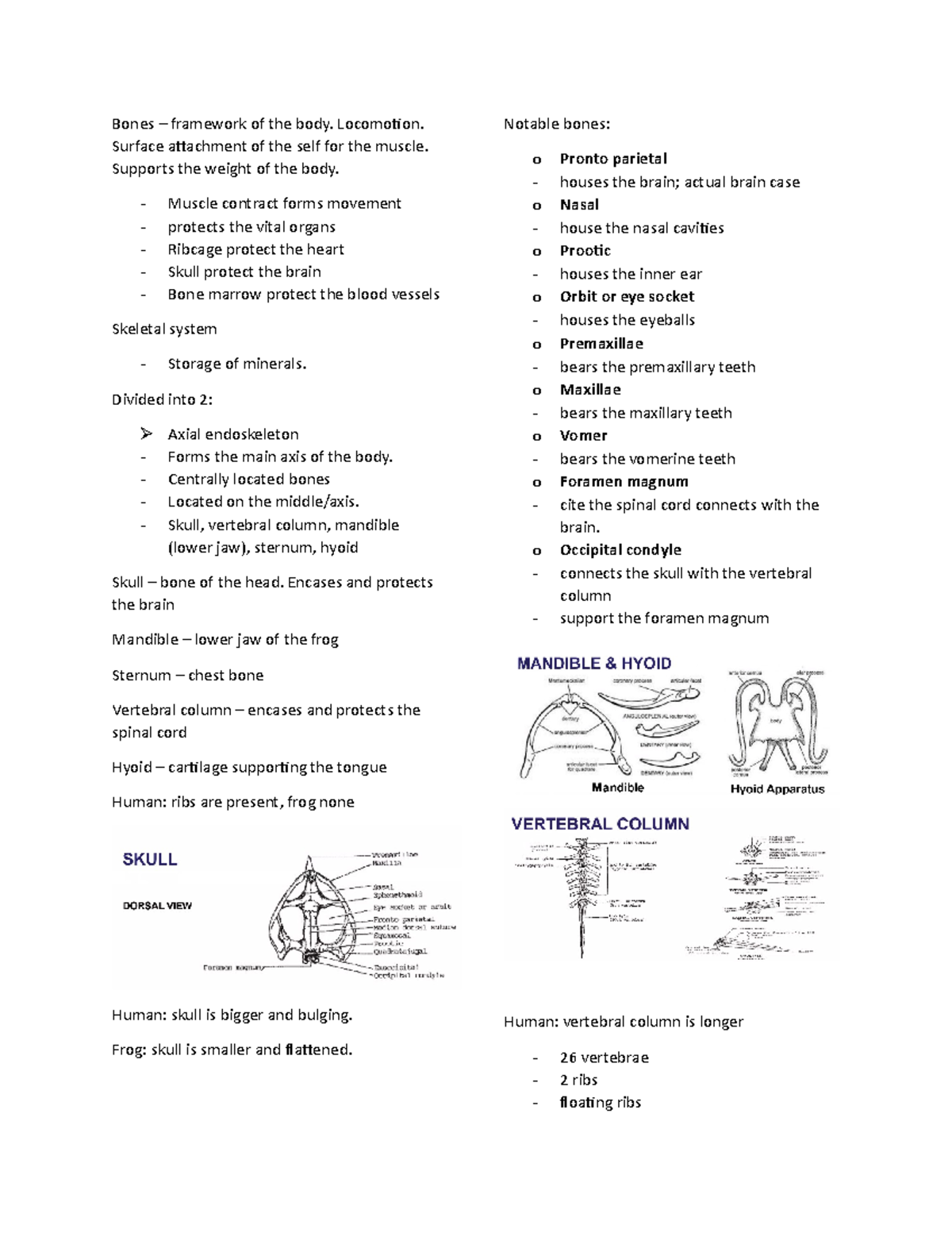 General Zoology: Frog Bones - Bones – framework of the body. Locomotion ...