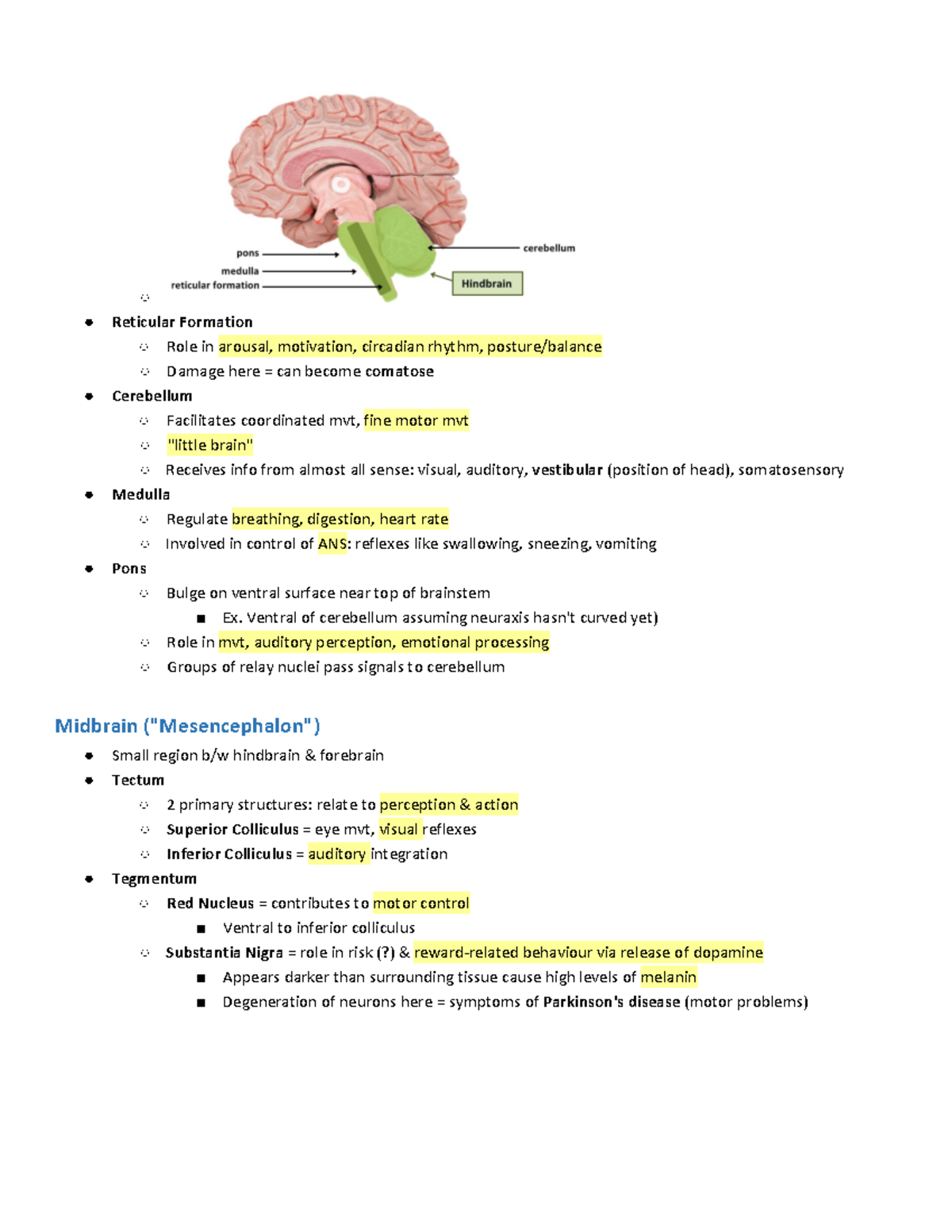 Final Psych notes-6 - Reticular Formation Role in arousal, motivation ...