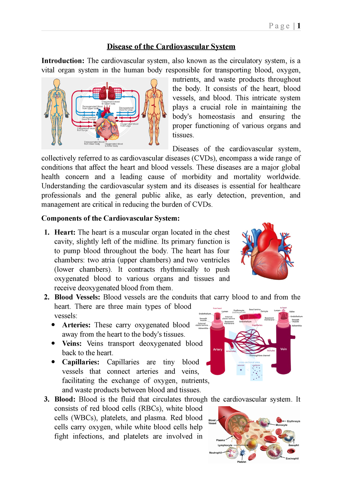 Disease Of The Cardiovascular System - Disease Of The Cardiovascular ...