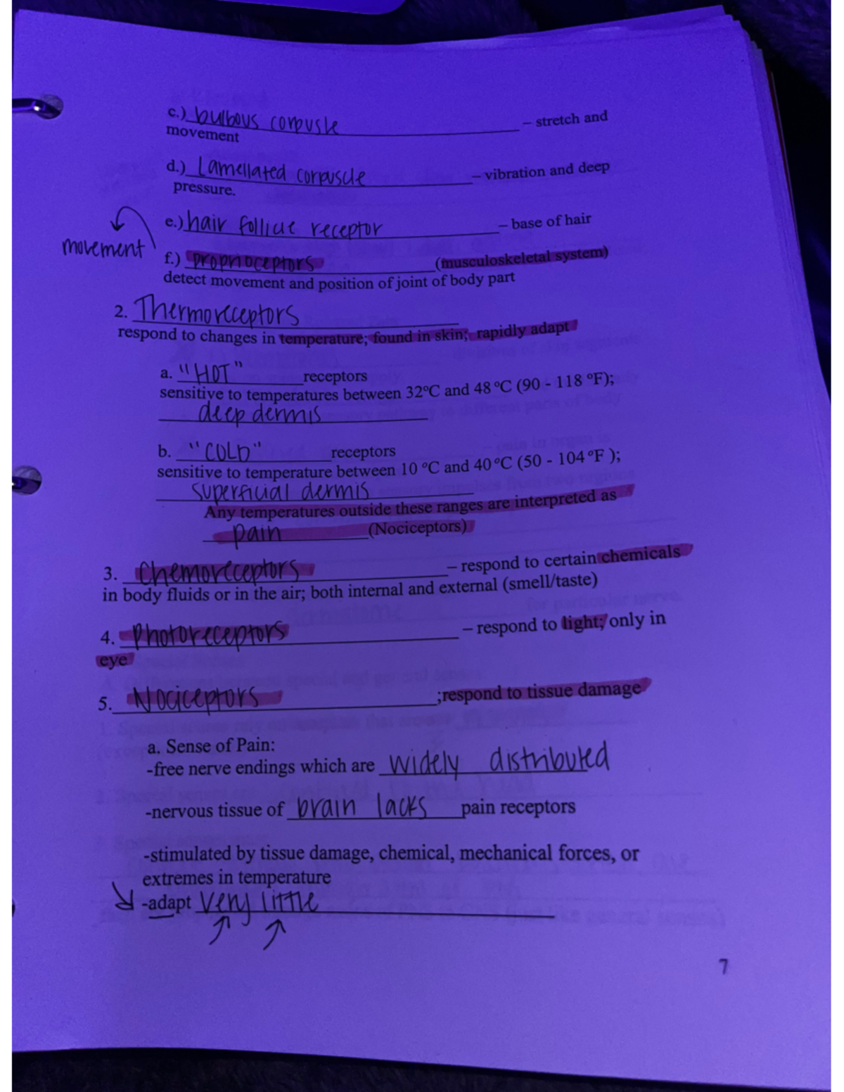 ANATOMY AND PHYSIOLOGY 2 CLASS NUMBER visual data 5