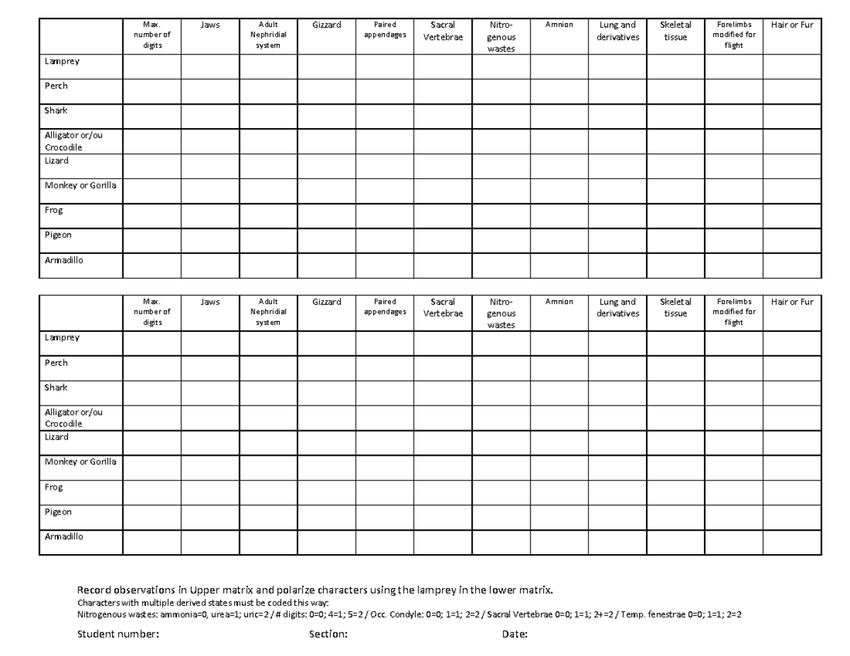 Cladogram Lab Observations (No solution) - BIO1130 - uOttawa - Studocu