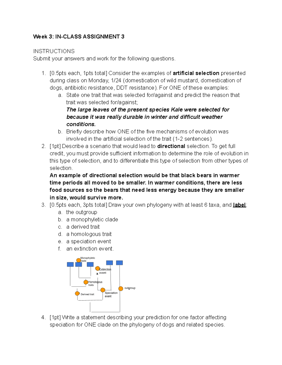 class three assignment