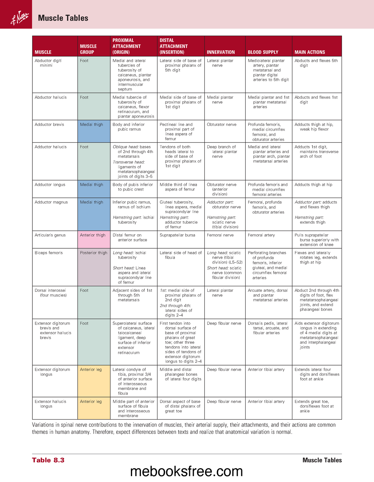 Muscles of the Legs (Netter) - Muscle Tables Variations in spinal nerve ...