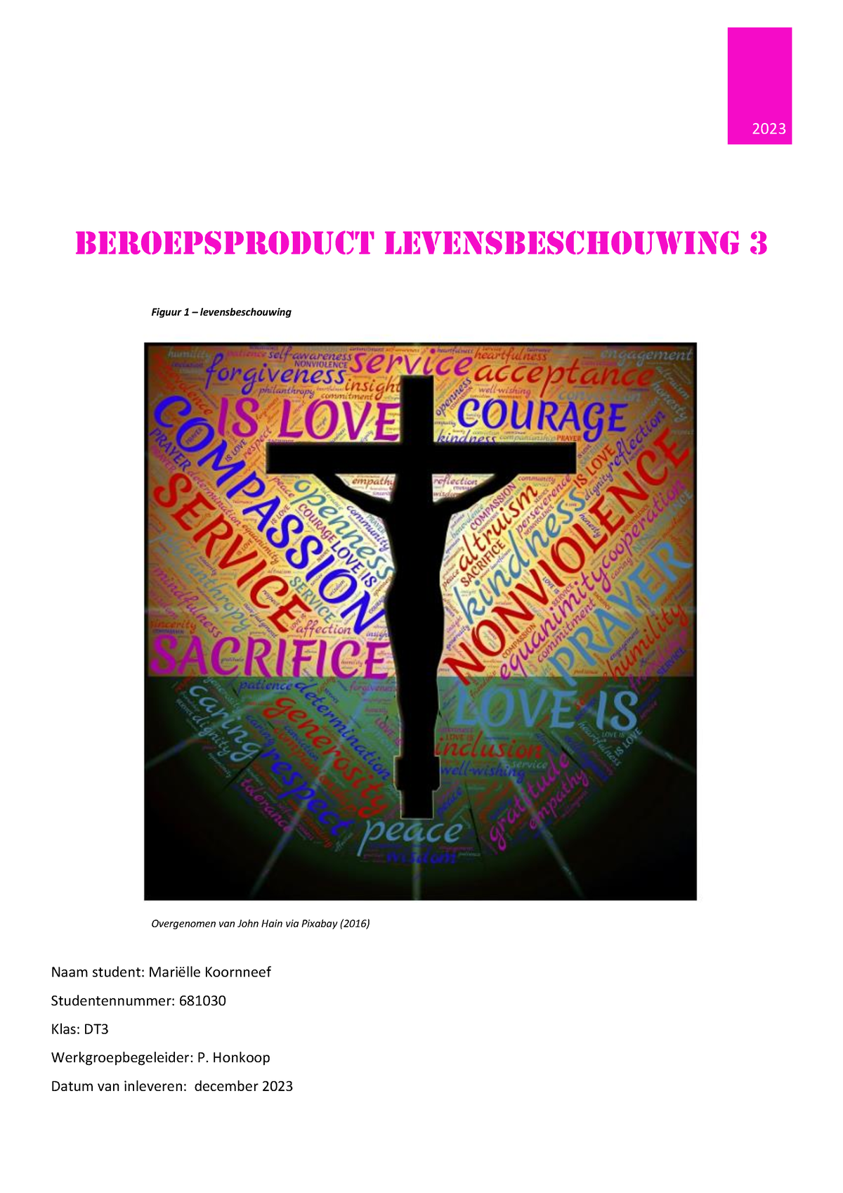 Beroepsproduct Levensbeschouwing 3 - Honkoop Datum Van Inleveren ...