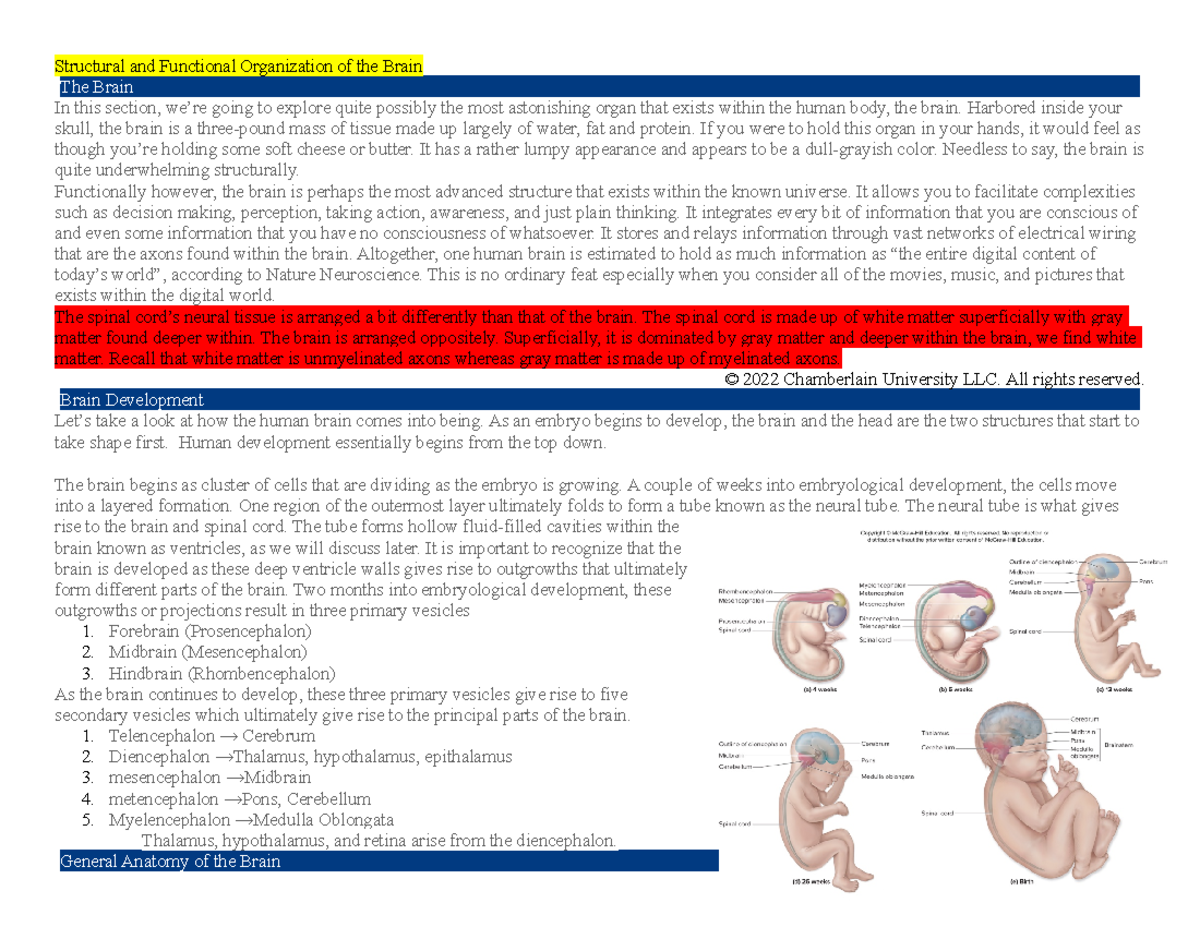Week 4 Concepts - Edapt - Structural and Functional Organization of the ...