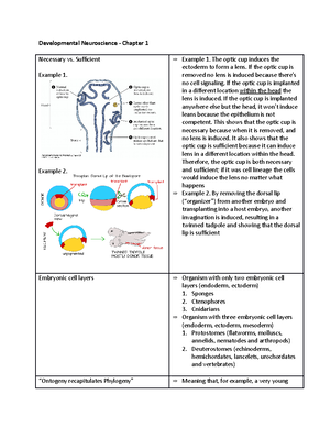 Develop Neuro Ch 2 - Chapter 2 detailed notes - Developmental ...