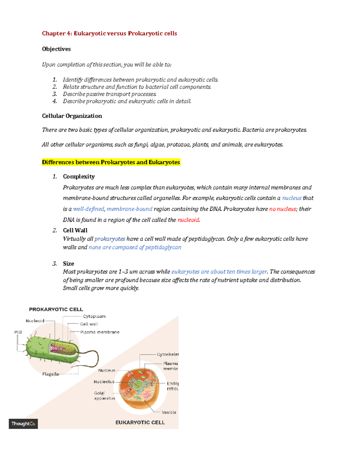 Chapter 4 Eukaryotic vs Prokaryotic cells - Chapter 4: Eukaryotic ...