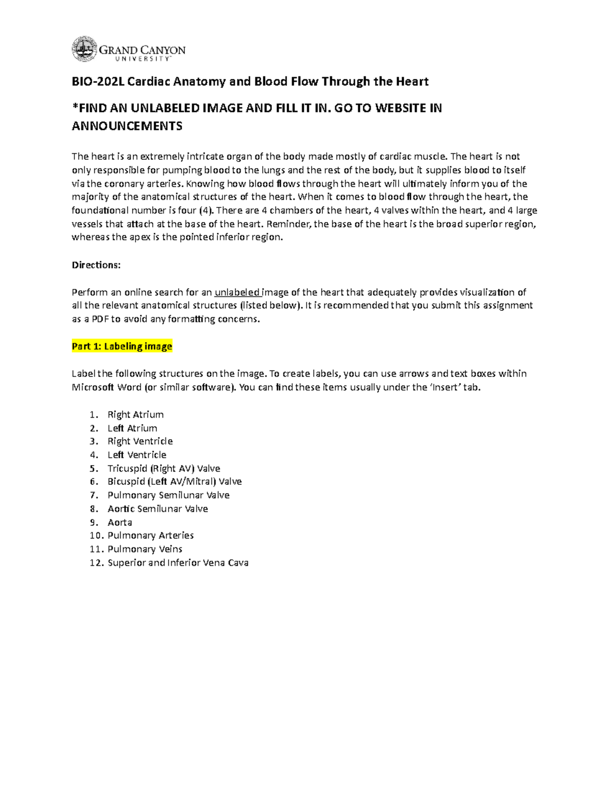 BIO 202L RS Activity 1Cardiac Anatomy And Blood Flow Onground - BIO ...