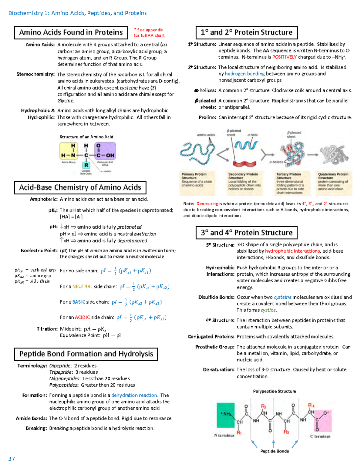 Biochemistry Review Sheets - Biochemistry 1: Amino Acids, Peptides, and ...