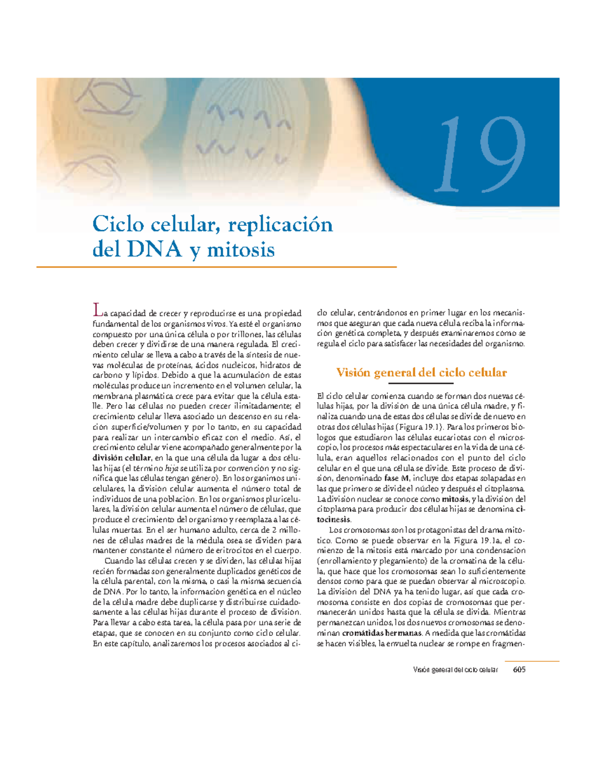 Mitosis Replicacion DEL ADN Y Ciclo Celular - La capacidad de crecer y ...