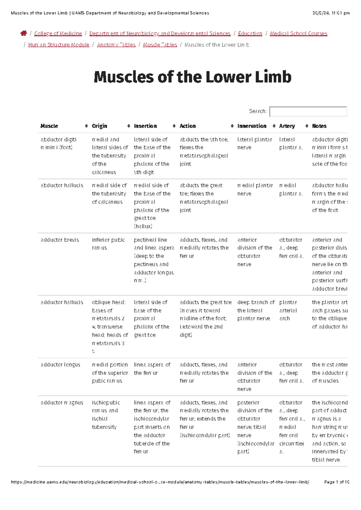Muscles of the Lower Limb UAMS Department of Neurobiology and ...