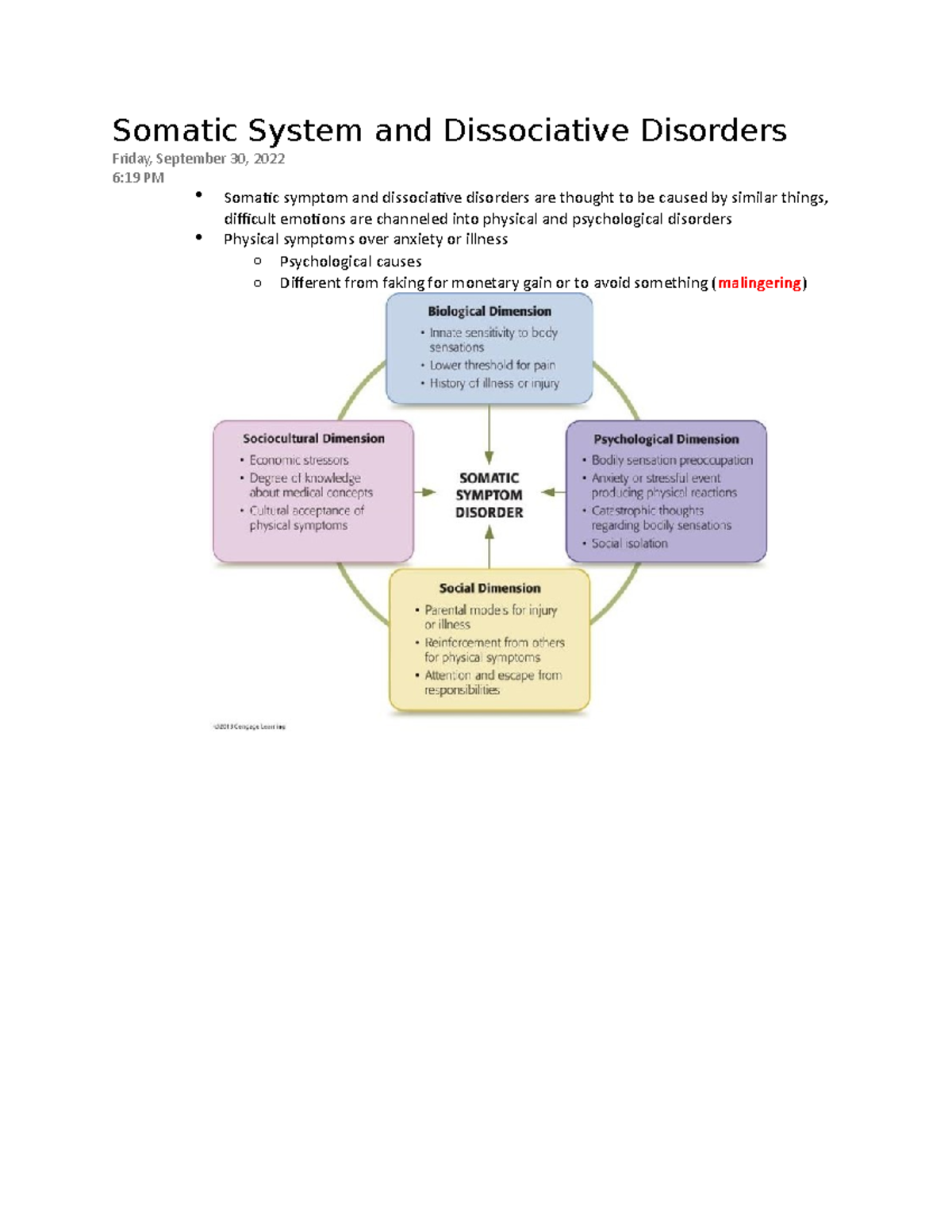 Somatic System And Dissociative Disorders - Studocu