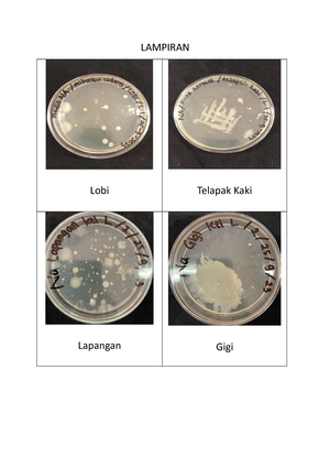 Laporan Praktikum Mikrobiologi Isolasi B - LAPORAN PRAKTIKUM ...