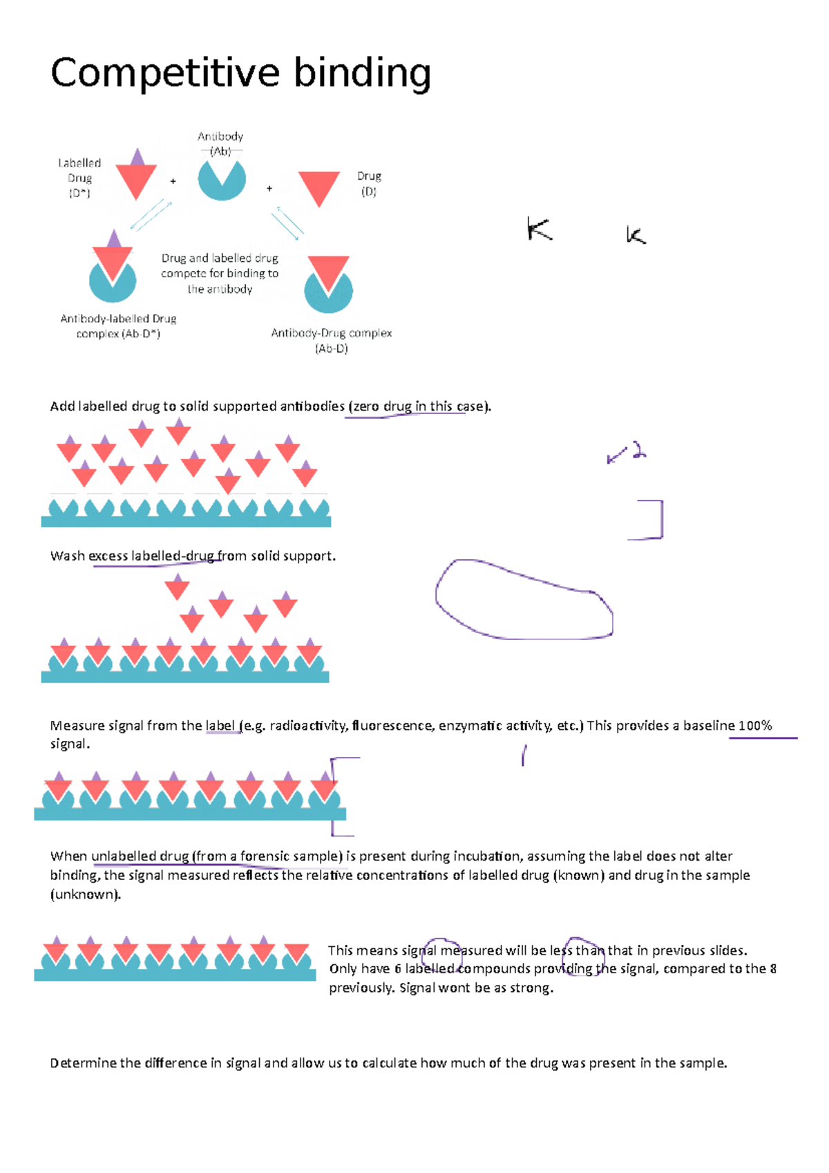 Competitive binding - Lecture notes 16 - Competitive binding Add ...