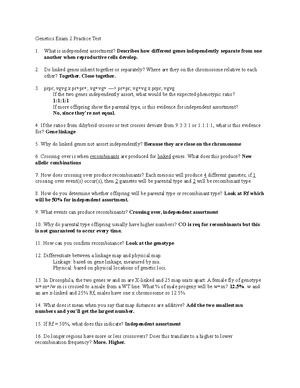 Genetics Exam 2 Study Guide - Genetics Exam 2 Study Guide Chapter 4 ...