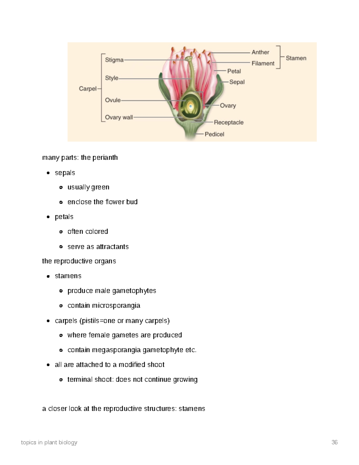 Topis 36-50 - topics in plant bio professor c - many parts: the ...