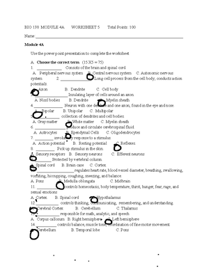bio 138 module 4a worksheet 5 stem233 intro data and graph studocu