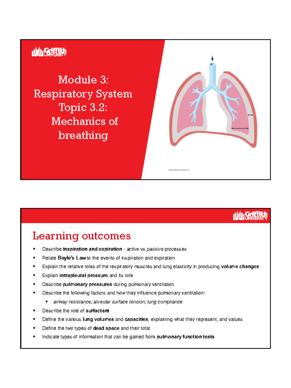 1017MSC Module 3 3.2 slides - Module 3: Respiratory System Topic 3 ...