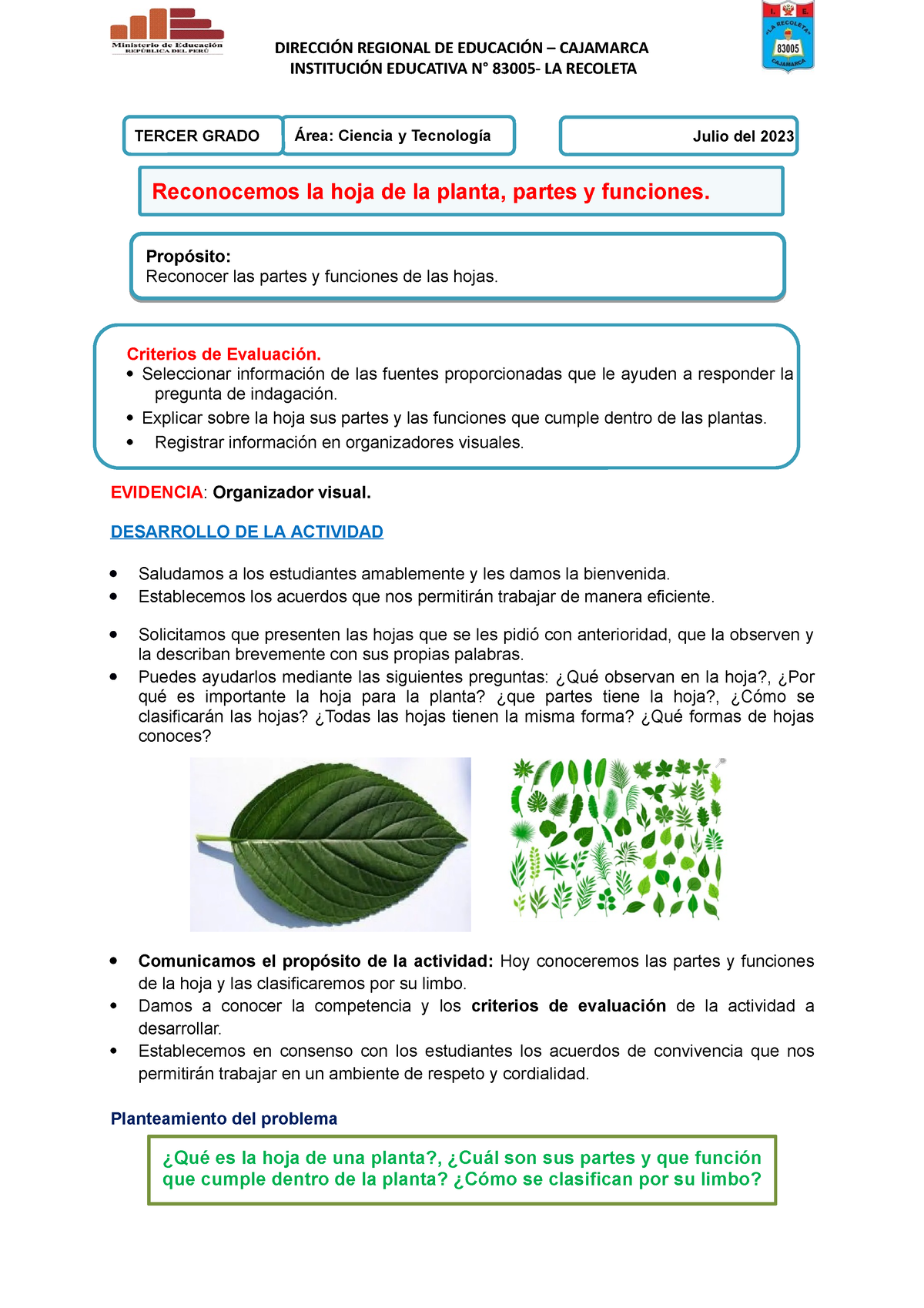 La Hoja Partes Y Funciones Cien Y Tec Instituci N Educativa N