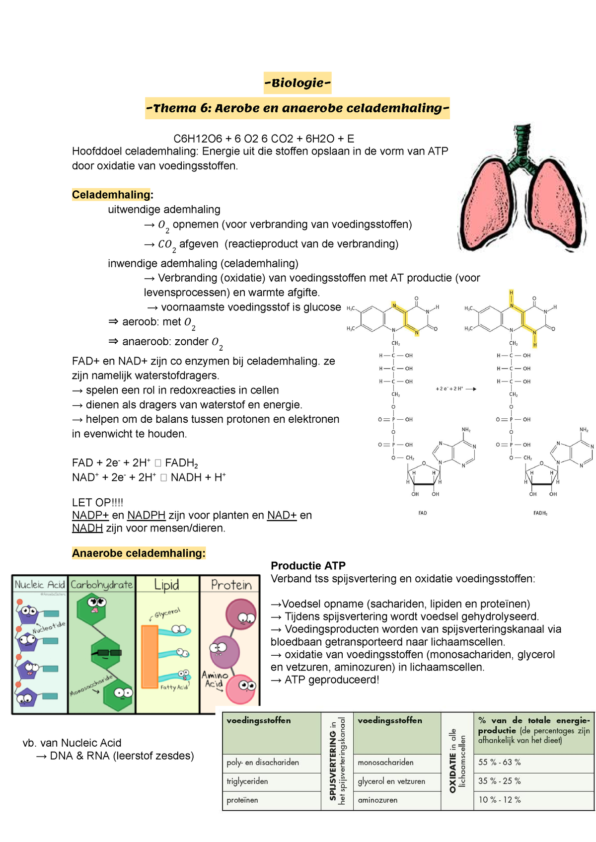 Biologie Thema 6 - Aerobe En Anaerobe Celademhaling~ - Biologie Thema 6 ...