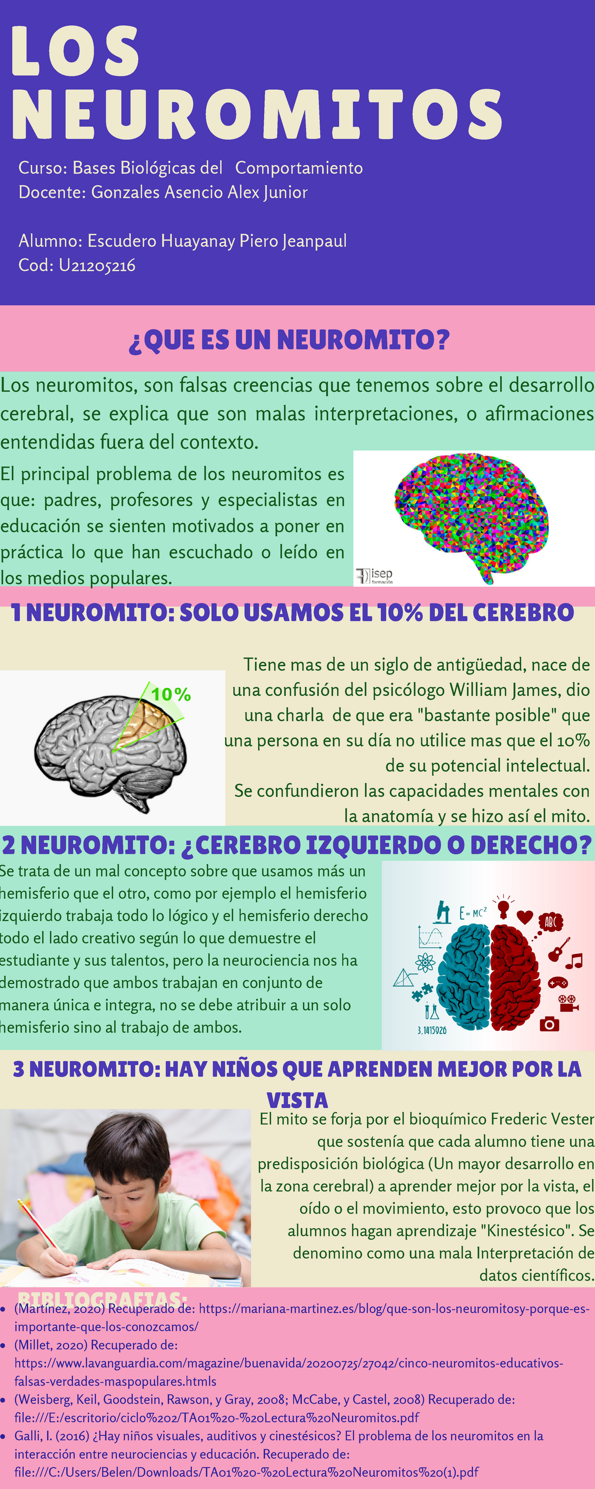 Los Neuromitos Bases Biologicas - Bases Biológicas Del Comportamiento ...