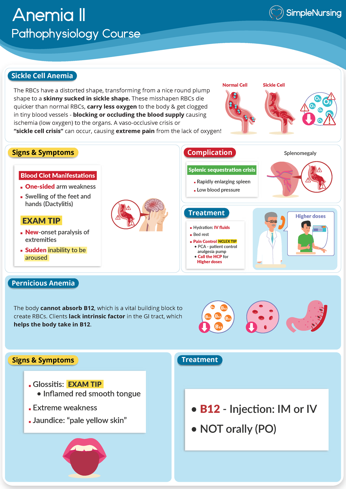 2. Sickle Cell & Pernicious Anemia - Anemia II Pathophysiology Course ...