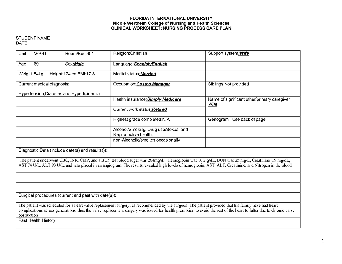 Sample Care Plan - FLORIDA INTERNATIONAL UNIVERSITY Nicole Wertheim ...