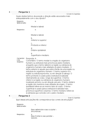 Anatomia-2 - Relatório Aula Prática - UNIVERSIDADE PAULISTA – UNIP ...