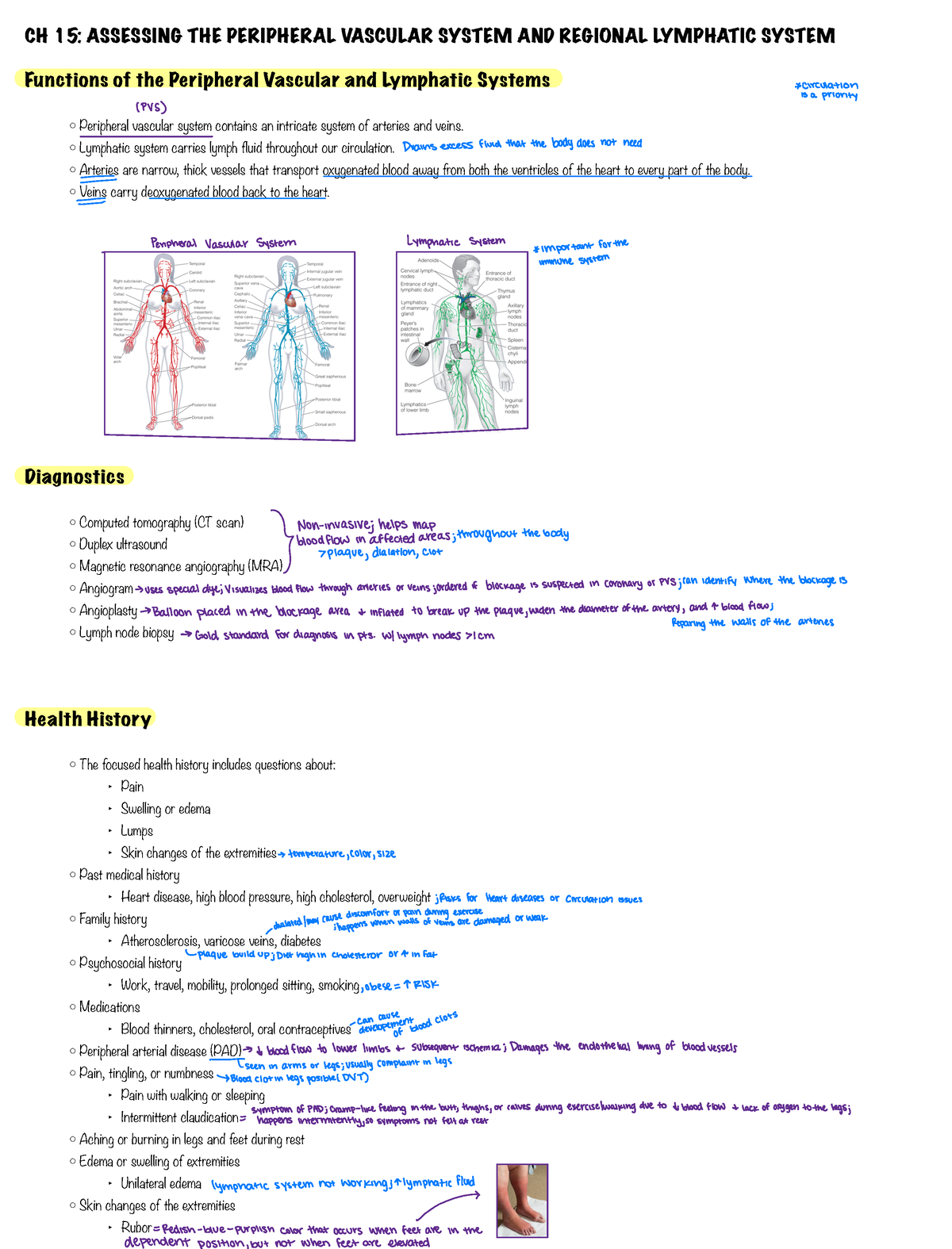 MOD 9 - Peripheral Vascular and Lymphatic Systems - ####### CH 15 ...