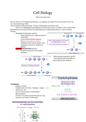 BIO Lecture 1 Notes - Biology 1010 Unit 1:The Eukaryotic Cell The Cell ...