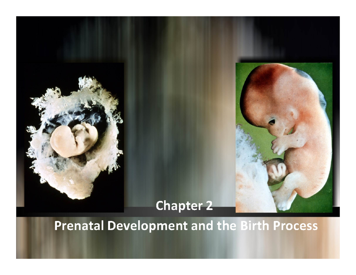SLK 210 Child and Adolescent Development Chapter 2 - Chapter 2 Prenatal ...