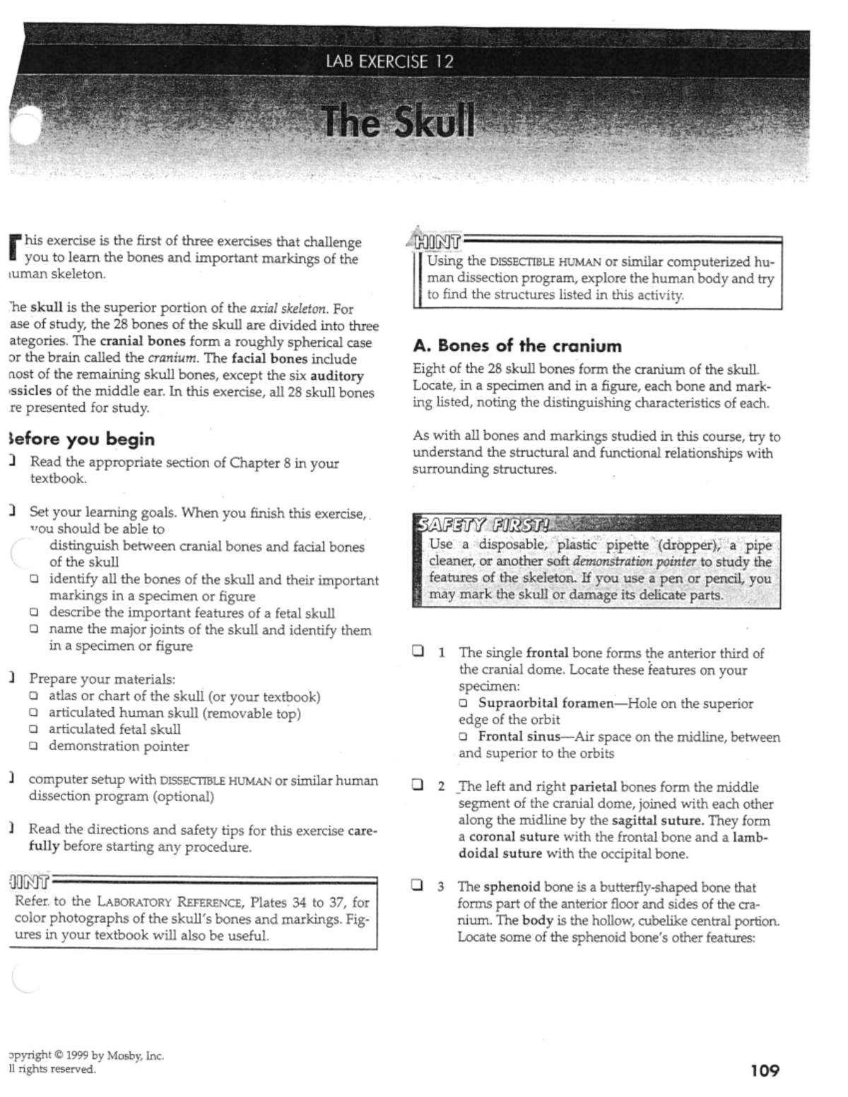 Skull Lab Quizlet 45 - wtmf9gx