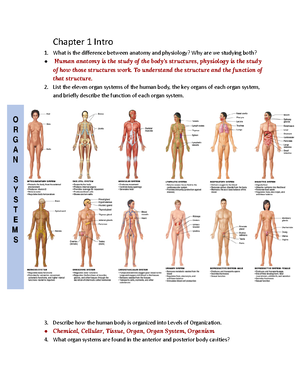 Labster human anatomy bio - BIOL 1110K - Studocu