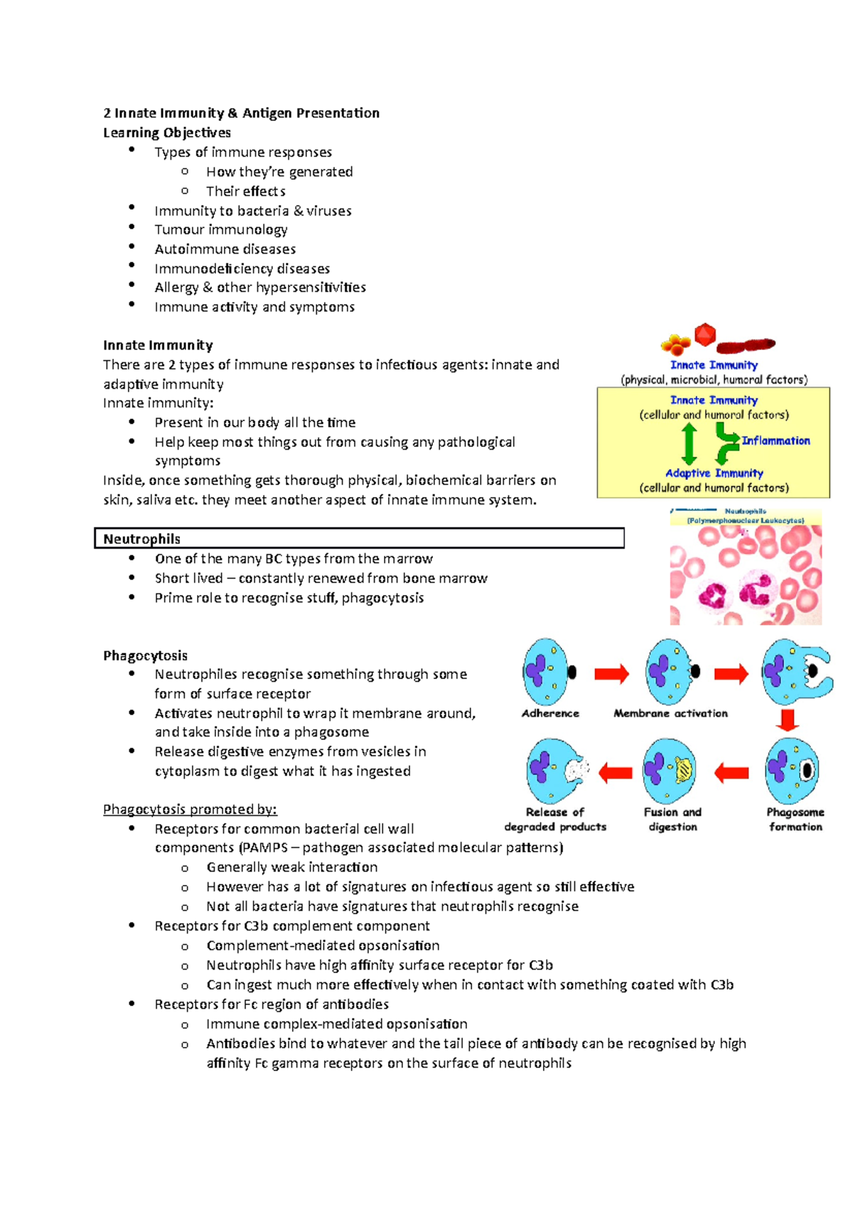 Innate Immunity Notes - 2 Innate Immunity & Antigen Presentation ...