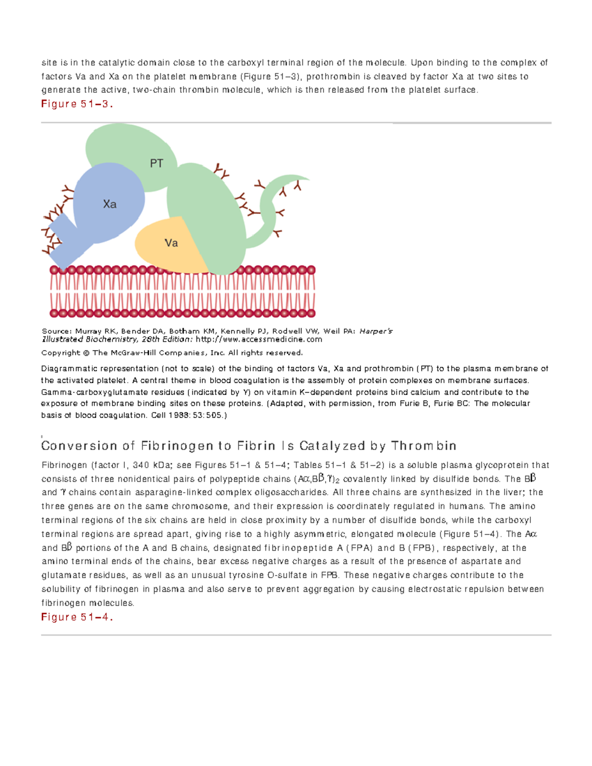 harpers illustrated biochemistry 28th edition pdf download