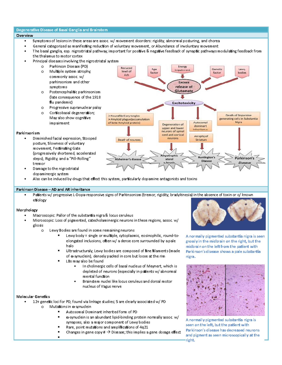Neurology anatomy study guide - Degenerative Disease of Basal Ganglia ...