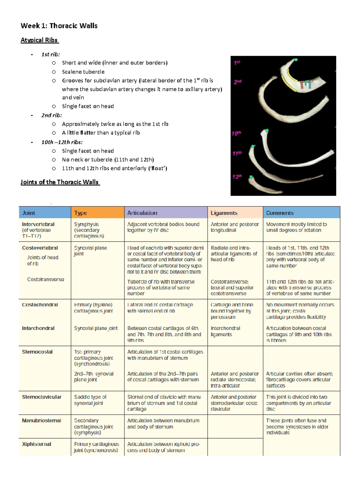 Week 1 - Cardiorespiratory summary week 1 - Week 1: Thoracic Walls ...