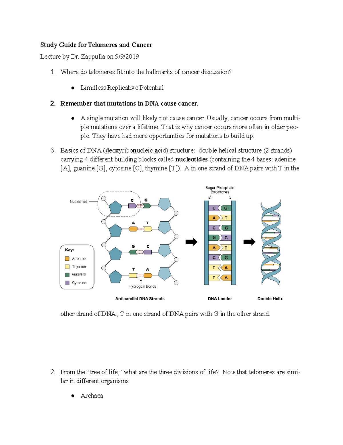 Telomeres and Cancer - Study Guide for Telomeres and Cancer Lecture by ...