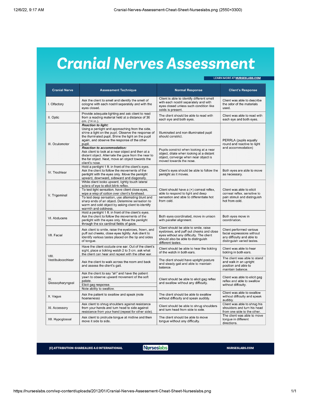 cranial nerves cheat sheet