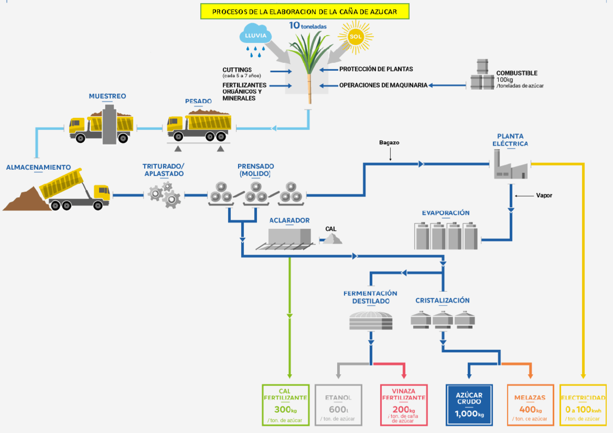 Diagrama DE Proceso - Trabajo con buena calificación - proceso ...
