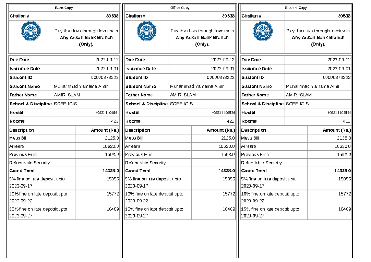 Invoice - Covers the basic - Due Date 2023-09- Issuance Date 2023-09 ...