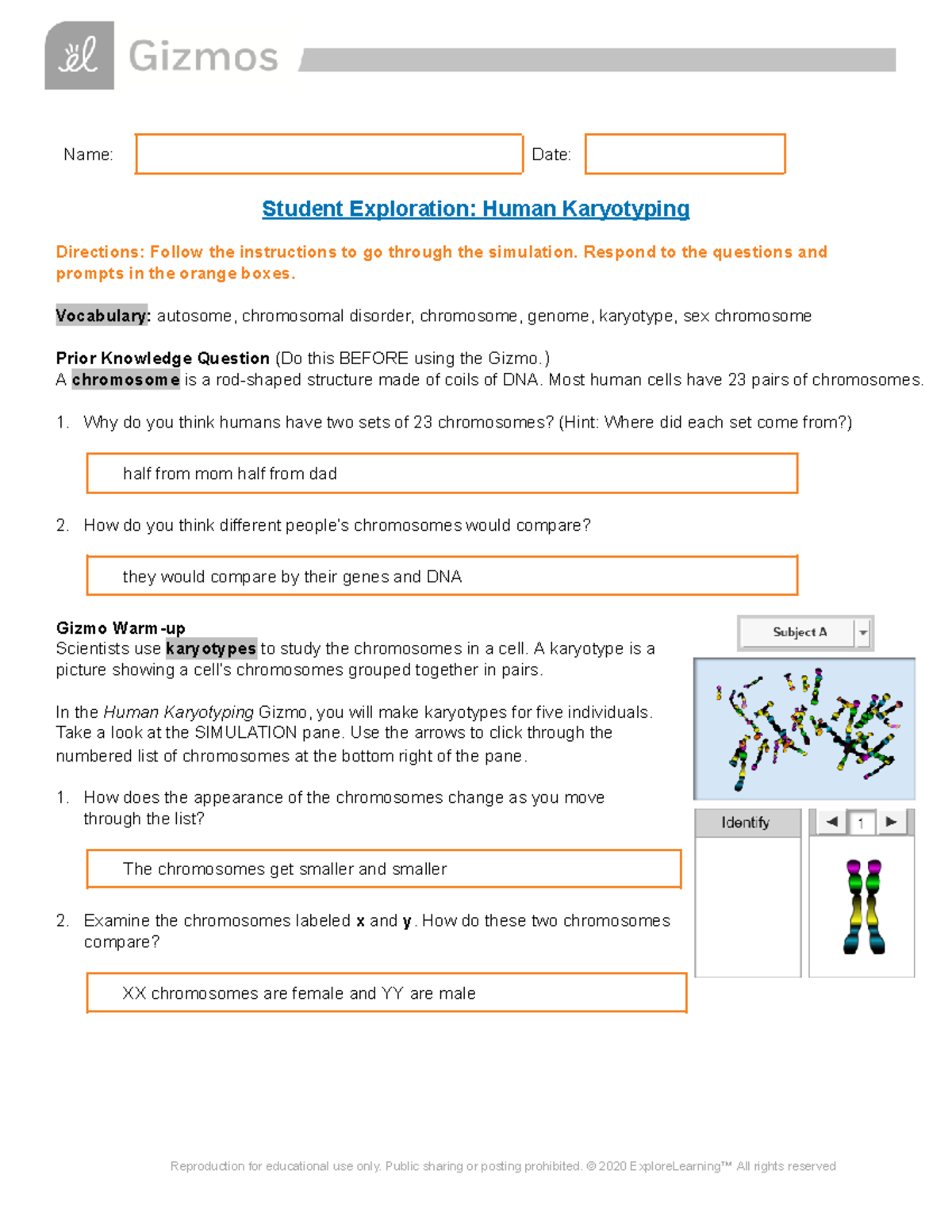 Copy Of Human Karyotyping SE - Name: Date: Student Exploration: Human ...