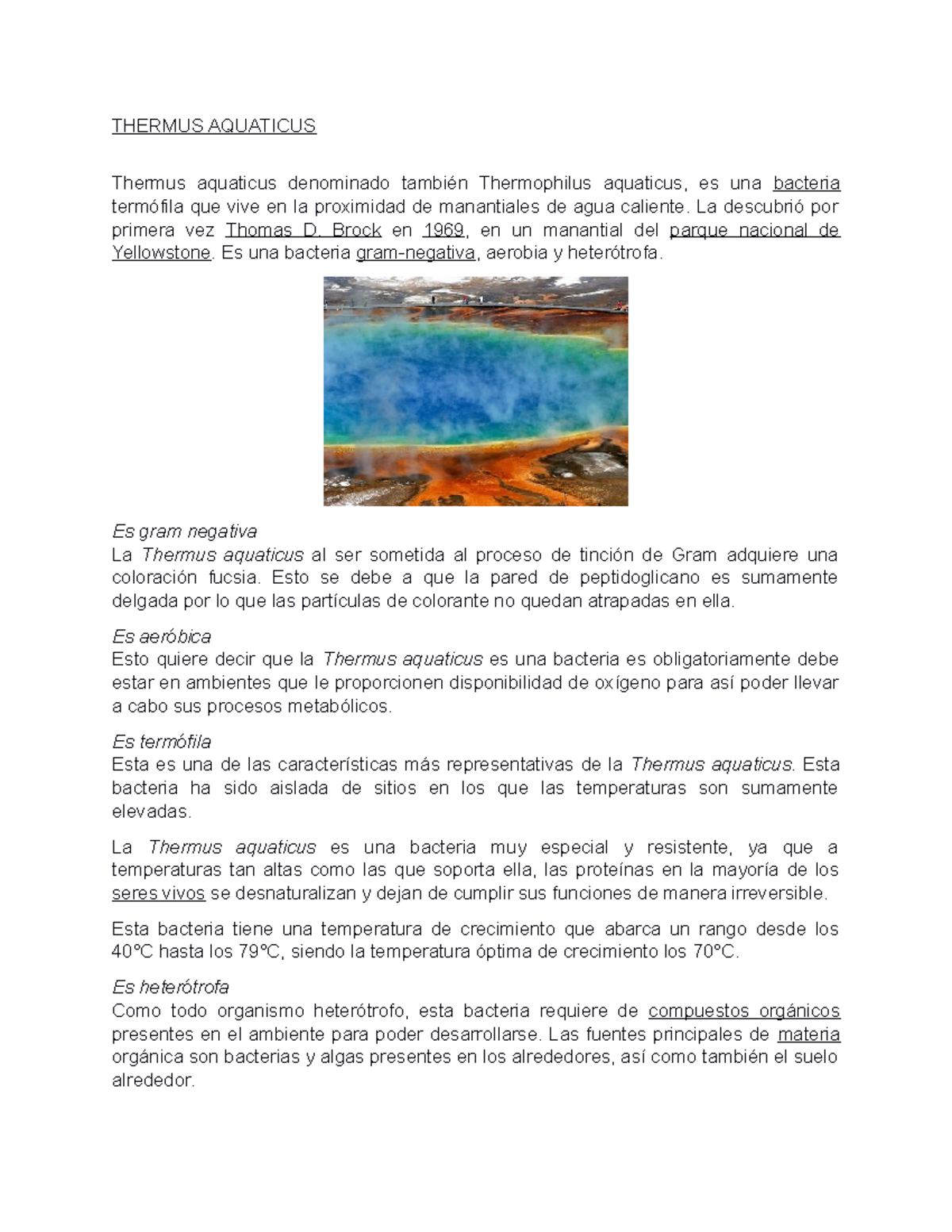 Microbiologia bacterias THERMUS AQUATICUS Thermus aquaticus