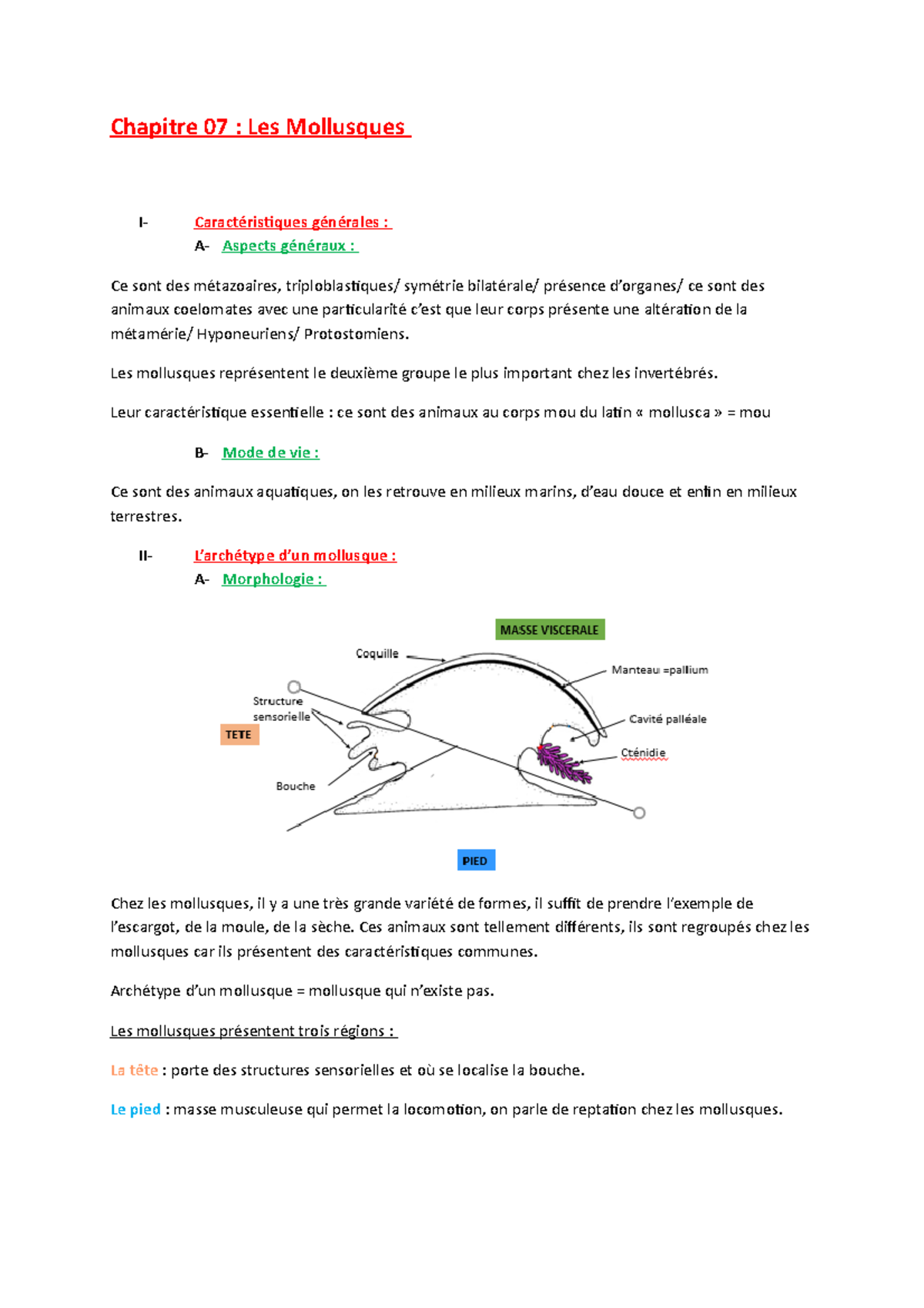 Chap 7 Les Mollusques - Licence Sciences de la Vie et de la Terre ...